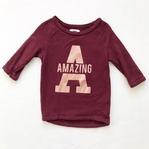 Old Navy amazing berry sweatshirt VGUC 5T